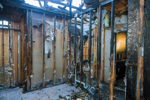 Professional Fire Damage Repair technician working in Kingston, WA